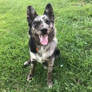 Meet your Posher, Alysa